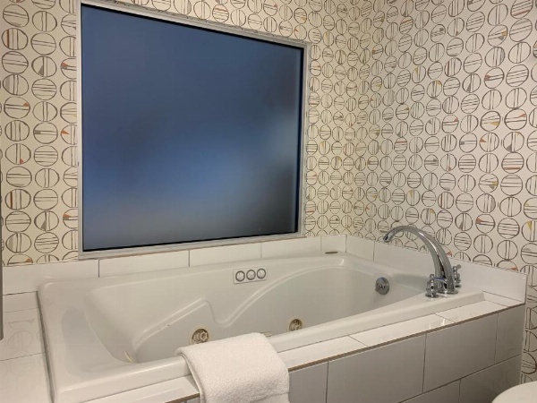 Holiday Inn Asheville - Biltmore West image 23